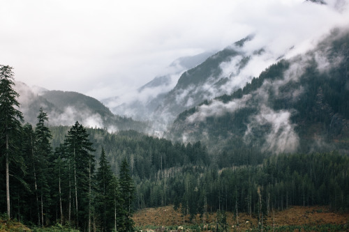 benchandcompass:  i can’t stop searching, i don’t even know what I’m looking for. 