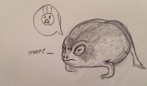 I Drew A Frog For A Friend!