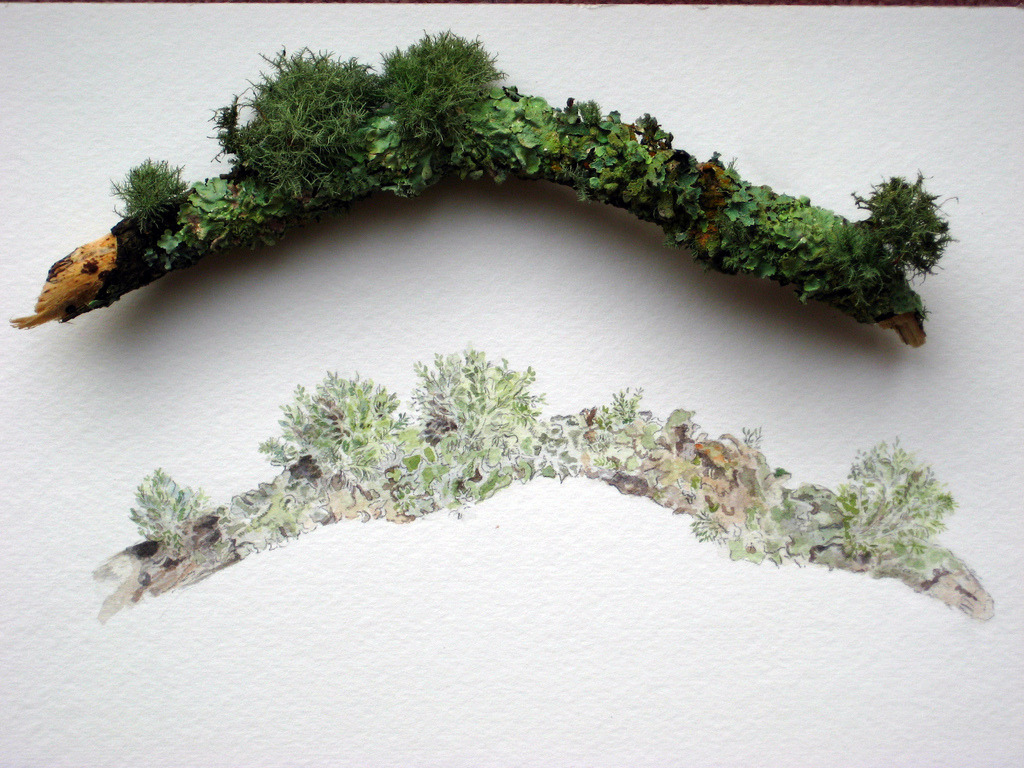 emilysquare:   A twig picked up after a coastal gale in Clovelly, North Devon, home