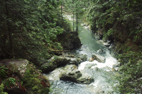 matchbox-mouse: Standing over the river.  Hiking in Lynn Canyon, British Columbia.