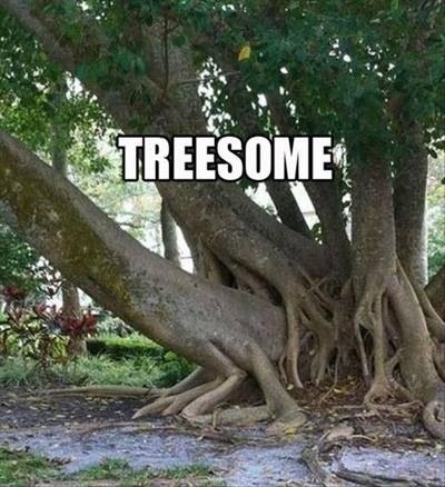 hidingfromdoubt:  I can’t stop giggling!!!