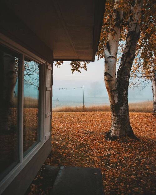 oldfarmhouse:www.instagram.com/alexstrohl/