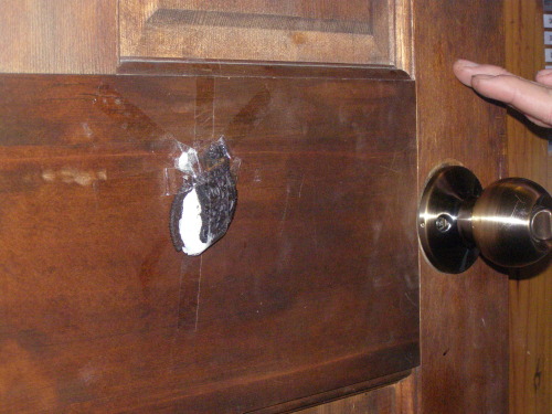 foxy-grandpa420:foxy-grandpa420:jocelynbaked:The Life and Death of the door oreo, it was knocked dow