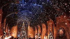 primrosepins:        I hope you all are having a lovely holiday! x       