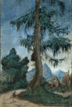 Kecobe:   Albrecht Altdorfer (German; Ca. 1480–1538)Landschaft Mit Fichte = Landscape