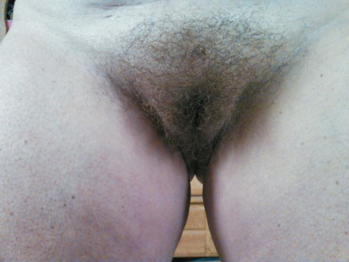 lickit88781: Wonderful sweet bushsweet as pie