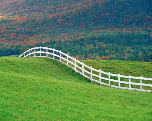 “curved white fence” by Mike O'C on Flickr.