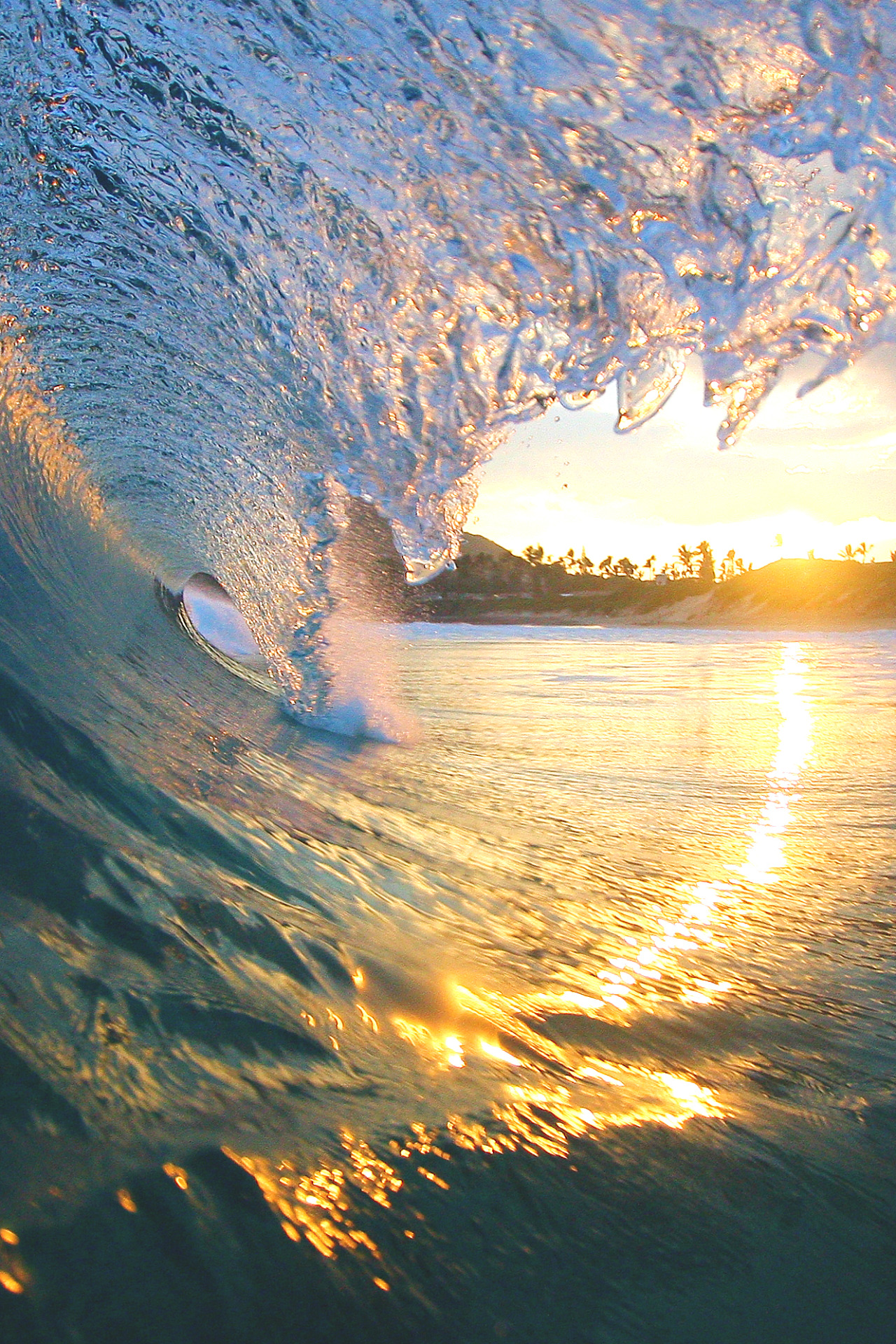 wavemotions:  Untitled