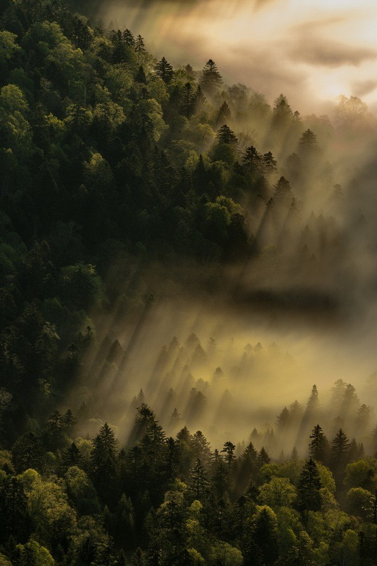ethereo:  Mitsuhiko Kamada, The vision on clouds 