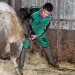 bauernbock: