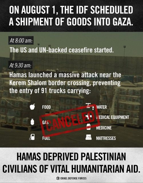 idfonline: Hamas forces Palestinian civilians to suffer. Hamas is responsible for the humanitari