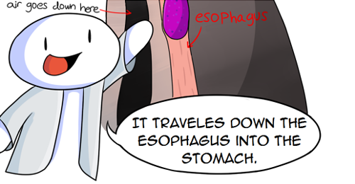 theodd1sout:  Trust me, I have a lab coat.   Full Image Facebook Twitter    