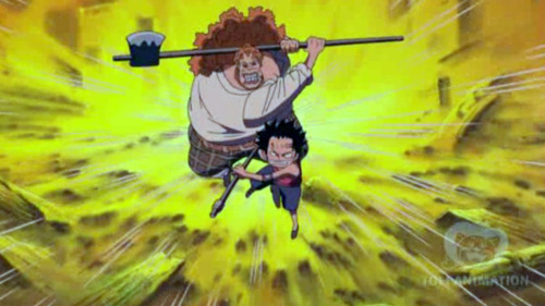Population Go Anime Review One Piece 501 503 Population Go Anime Review One Piece 501 503