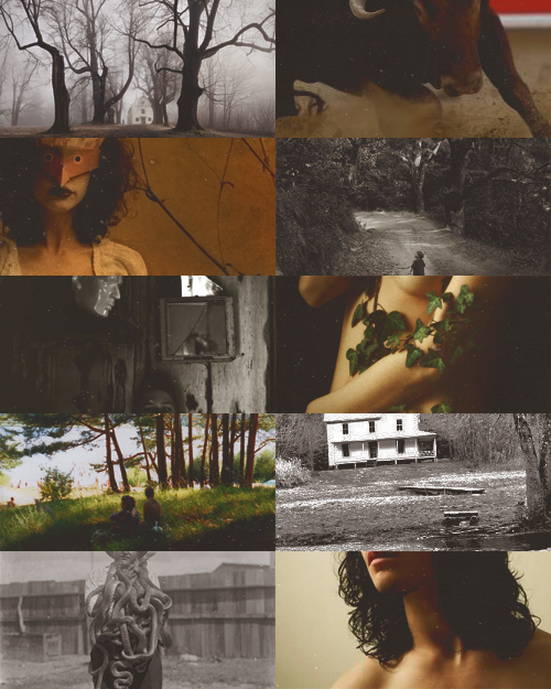 mythanthropes:au/genreswap → the bacchae as southern gothicthebes has seen some better days. it’s go