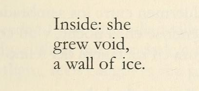 Homero Aridjis, ‘The Night Mare’ (trans. George McWhirter), Ojos, de Otro Mirar / Eyes to See Otherw