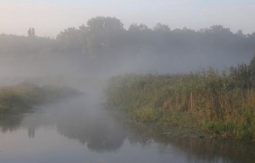 Wikipedia picture of the day on August 10, 2021: Desna river, feeder of the Southern Bug, at dawn. U