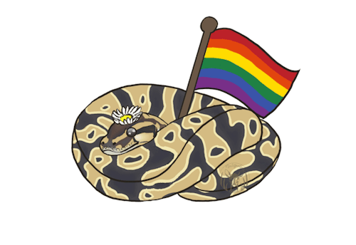 snakelesbiann:Sir Noodles (aka. Flower Prince) supports all of you.(Sorry the flags are a little sha