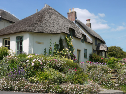 englishcottagedreams:Cottage at Eype (by Louise and Colin)