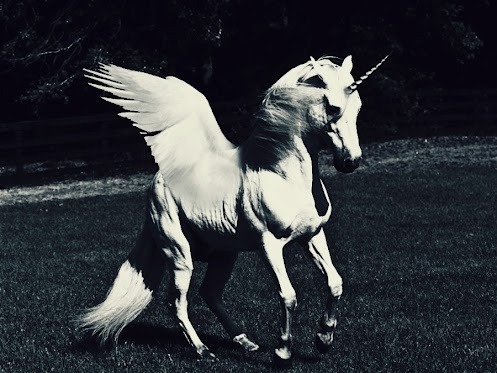 taniatlt:  immy squires - Google+ sur We Heart It. https://weheartit.com/entry/39177605/via/imsqu