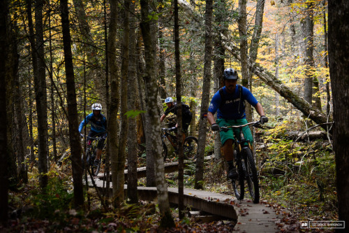 chirosangaku: East Bound and Down: Thy Kingdom Trails - Pinkbike
