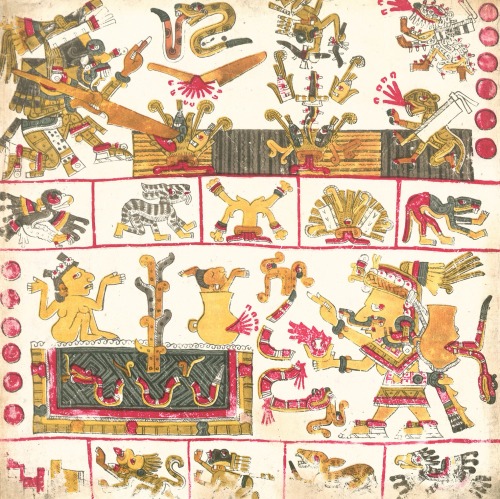 magictransistor:  Codex Borgia (Codex Yoalli Ehēcatl). Folios from the Mayan Divination and Ritual M