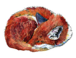 boredpanda:  I Draw Animal Watercolors Inspired By My Time Spent Living In The Wild  