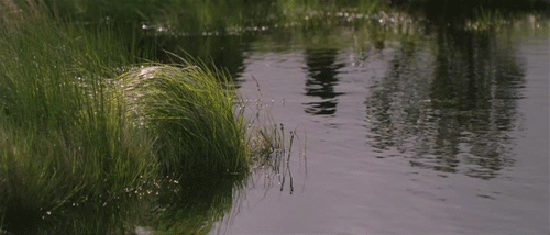 cinemacinemagraphs:Silence