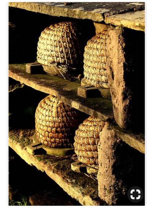 In love with these Sun &amp; Skep Hives&hellip;