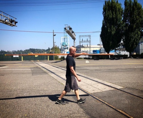 The car’s in the shop, but I can’t say no to a couple of nice boards. Nice day for a walk. #woodshop