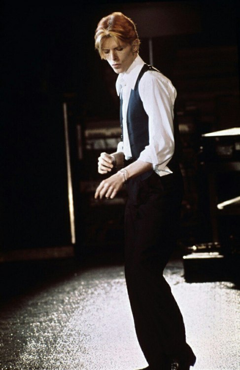 the thin white duke