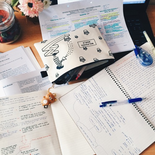 lousystar:  the impending thought of O'levels has been making me feel really awful lately so i bough