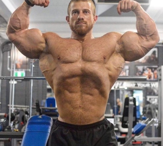 musclebull23:  