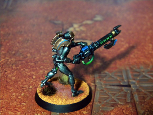 The fourth Necron Warrior of Nihilakh Dynasty.