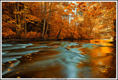 Gold River by Philippe Sainte-Laudy on Flickr.