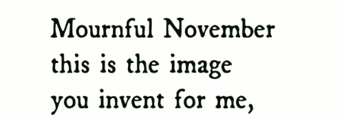 allloversbetray:NOVEMBER’S A BURN AND AN ACHEAn American Dream by Mary Ruefle // A Short History of 