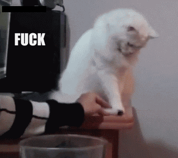 dovahsebrom:  francyrobothd:  “fuck this thing in particular”  all time favorite