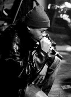 hiphop-in-the-brain:GZA/GENIUS from the WU-TANG