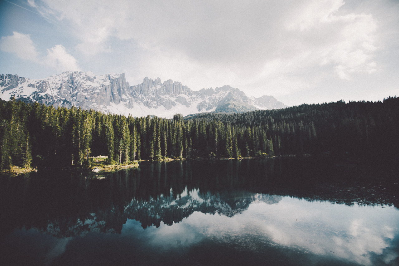 eartheld:  sidestroke:  sidestroke:     all nature  mostly nature 
