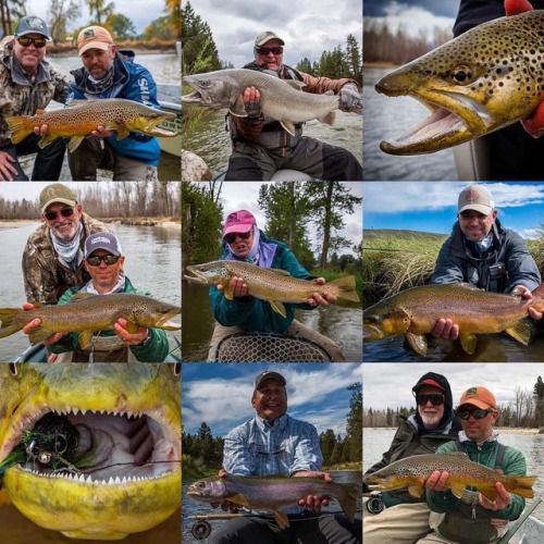 Thanks to all the anglers and friends who made 2018 a memorable year! #flyfishing #flyfishingmontana