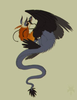 f0xhunt-art:Gotta draw dragons based on your favourite bird sometimes 