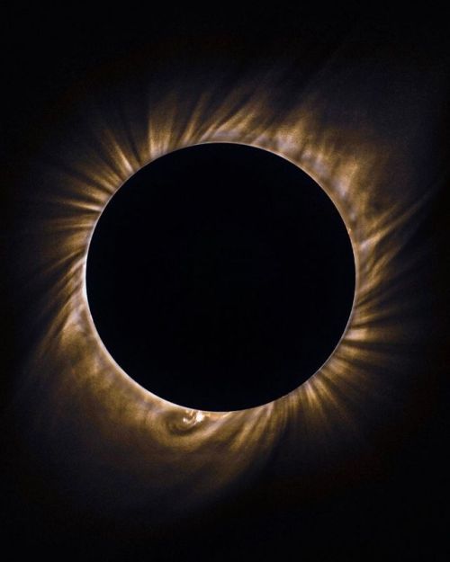 lensblr-network:The sun’s corona made visible to the naked eye during the 2019 Eclipse (at Rodeo, Sa