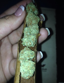 lonerstoner801:  Smells so dank … 