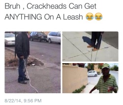 prettypussyprincess:  ON MY MOMMA THIS CRACKHEAD ON MY BLOCK GOT A IGUANA ON A LEASH  