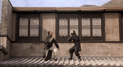 kungfu-taichi-martialarts:  Donnie Yen