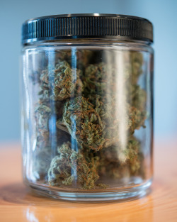 nwweedphoto:  Big Jar of Weed  