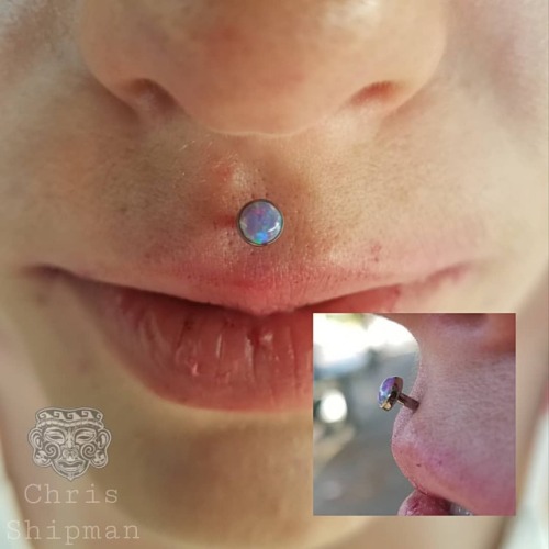 Fresh philtrum piercing with a lavender opal from @neometaljewelry. Piercing @shamanmods until 10pm.