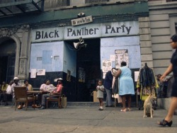 psychedelicway:  Black Panther Party headquarters, Harlem. 