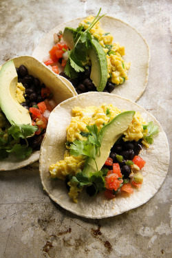 gastrogirl:  breakfast tacos. 