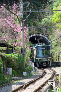 ninetail-fox:Enoden ,Kamakura