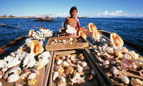 philippinespics:Cebu, Philippines, girl and boy selling shells from boatPaul Chesley